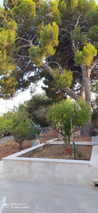Villa Francesca Appartamento Meraviglioso Polignano a Mare Extérieur photo